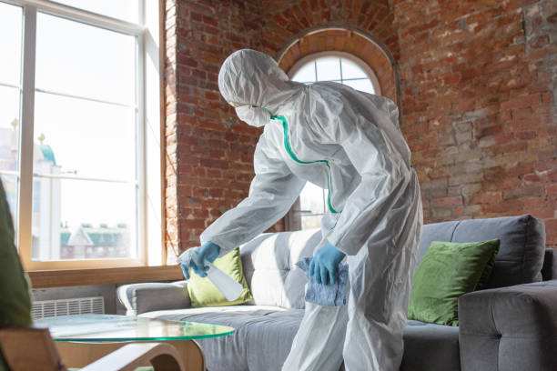 Best Emergency Mold Remediation in De Soto, IA